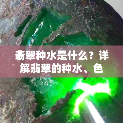 翡翠种水是什么？详解翡翠的种水、色泽与生肖寓意