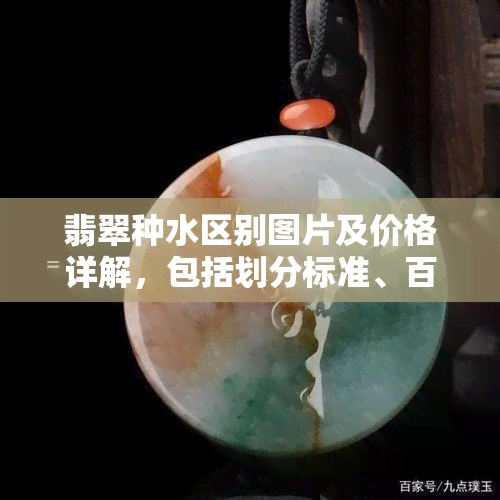 翡翠种水区别图片及价格详解，包括划分标准、百科内容和图解，全面解析翡翠种水含义