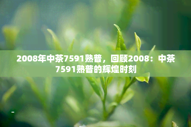 2008年中茶7591熟普，回顾2008：中茶7591熟普的辉煌时刻