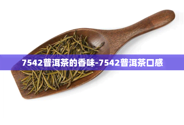 7542普洱茶的香味-7542普洱茶口感