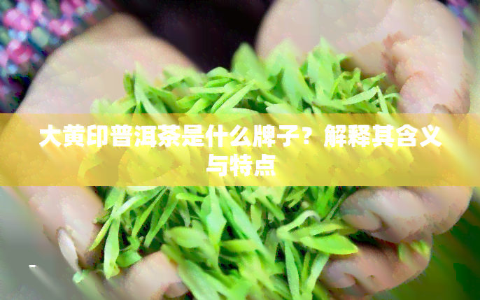 大黄印普洱茶是什么牌子？解释其含义与特点