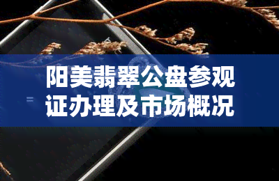 阳美翡翠公盘参观证办理及市场概况全解析