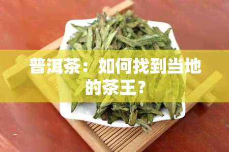 普洱茶：如何找到当地的茶王？