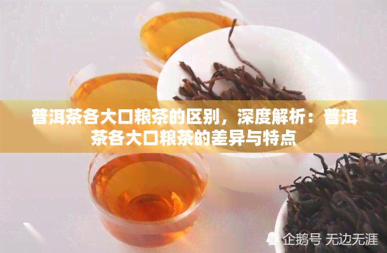 普洱茶各大口粮茶的区别，深度解析：普洱茶各大口粮茶的差异与特点