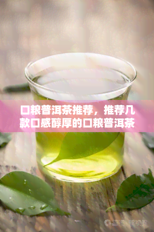 口粮普洱茶推荐，推荐几款口感醇厚的口粮普洱茶，让你品味不一样的茶香世界！