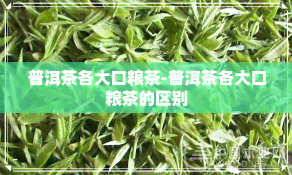 普洱茶各大口粮茶-普洱茶各大口粮茶的区别