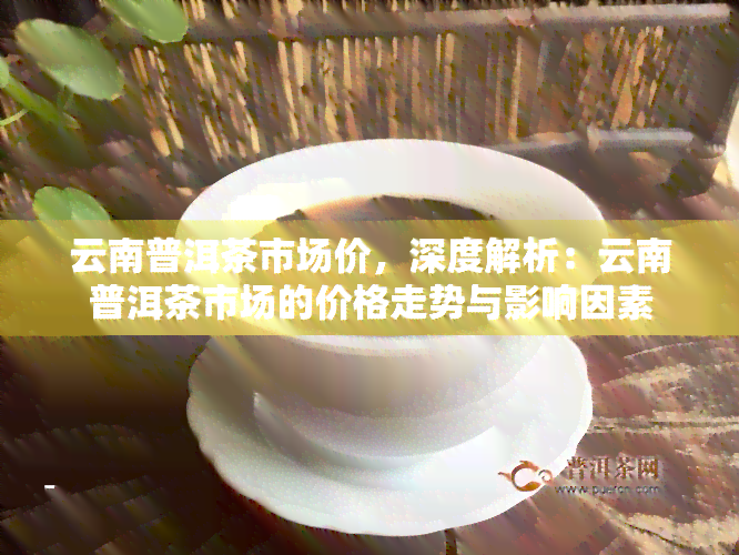 云南普洱茶市场价，深度解析：云南普洱茶市场的价格走势与影响因素