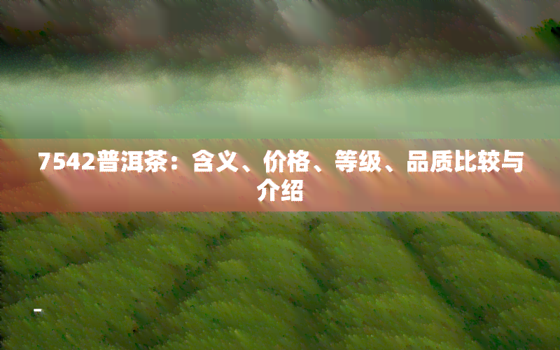 7542普洱茶：含义、价格、等级、品质比较与介绍