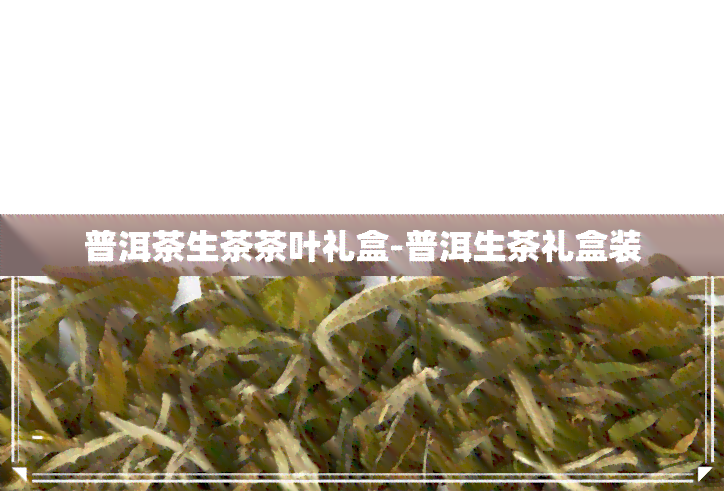 普洱茶生茶茶叶礼盒-普洱生茶礼盒装