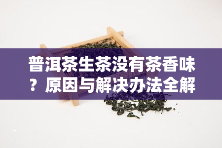 普洱茶生茶没有茶香味？原因与解决办法全解析