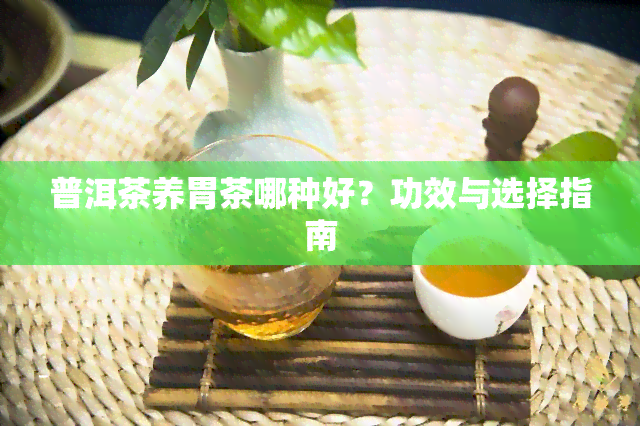 普洱茶养胃茶哪种好？功效与选择指南