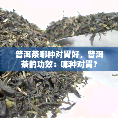 普洱茶哪种对胃好，普洱茶的功效：哪种对胃？