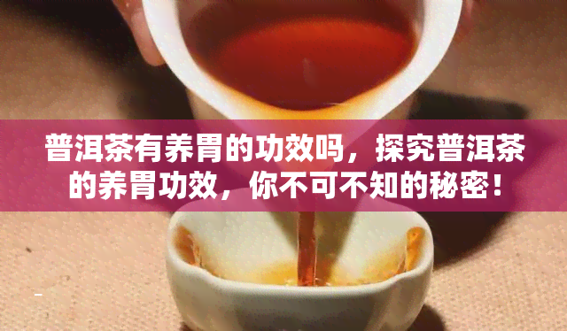 普洱茶有养胃的功效吗，探究普洱茶的养胃功效，你不可不知的秘密！