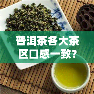 普洱茶各大茶区口感一致？探究原因