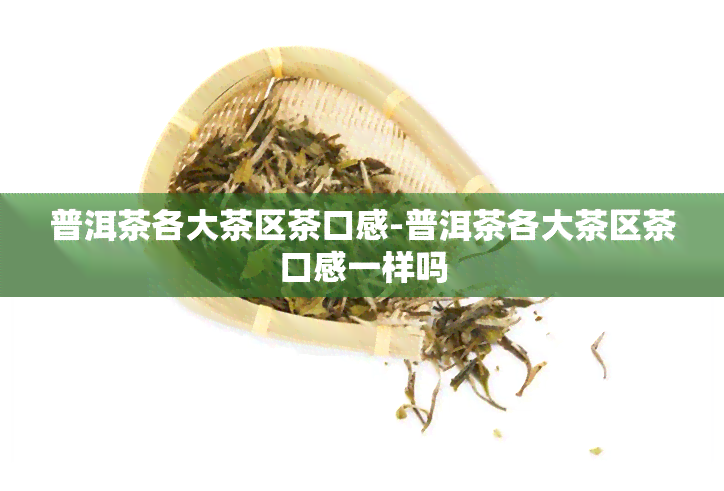 普洱茶各大茶区茶口感-普洱茶各大茶区茶口感一样吗