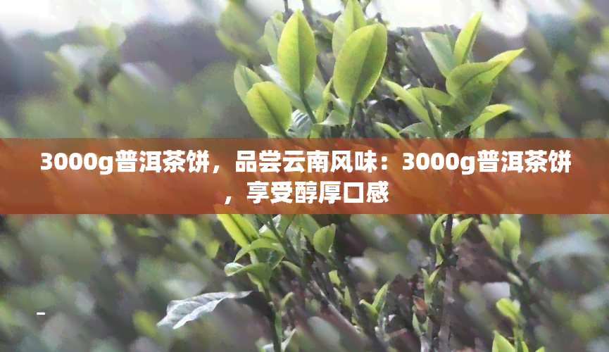 3000g普洱茶饼，品尝云南风味：3000g普洱茶饼，享受醇厚口感