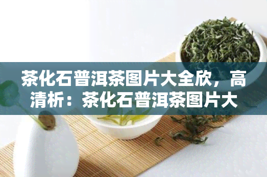 茶化石普洱茶图片大全欣，高清析：茶化石普洱茶图片大全