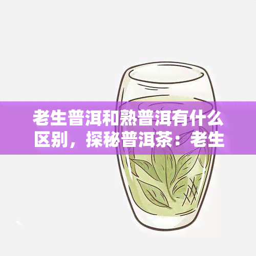 老生普洱和熟普洱有什么区别，探秘普洱茶：老生普与熟普的区别解析