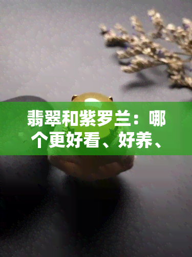 翡翠和紫罗兰：哪个更好看、好养、贵？绿翡翠与紫罗兰哪个优胜？