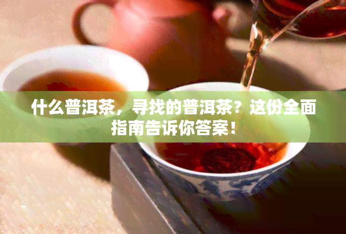 什么普洱茶，寻找的普洱茶？这份全面指南告诉你答案！