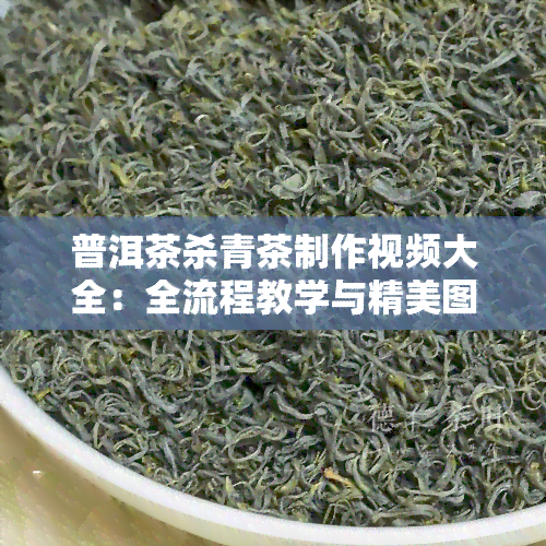 普洱茶杀青茶制作视频大全：全流程教学与精美图片