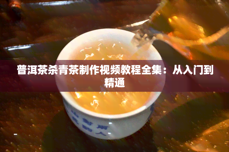 普洱茶杀青茶制作视频教程全集：从入门到精通