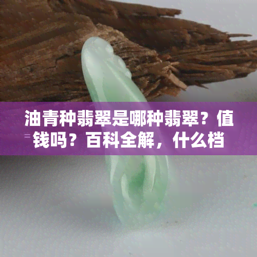 油青种翡翠是哪种翡翠？值钱吗？百科全解，什么档次？