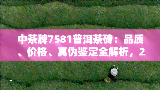 中茶牌7581普洱茶砖：品质、价格、真伪鉴定全解析，2021最新资讯，是否值得收藏？