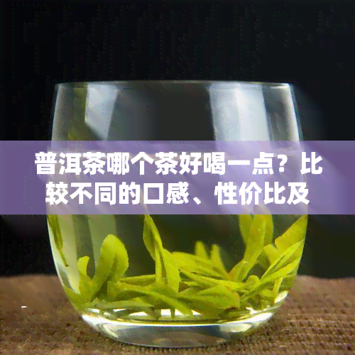 普洱茶哪个茶好喝一点？比较不同的口感、性价比及口碑