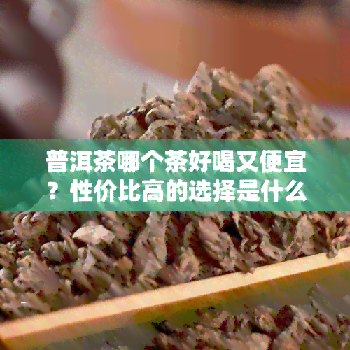 普洱茶哪个茶好喝又便宜？性价比高的选择是什么？