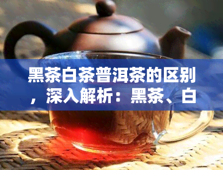 黑茶白茶普洱茶的区别，深入解析：黑茶、白茶和普洱茶的三大区别