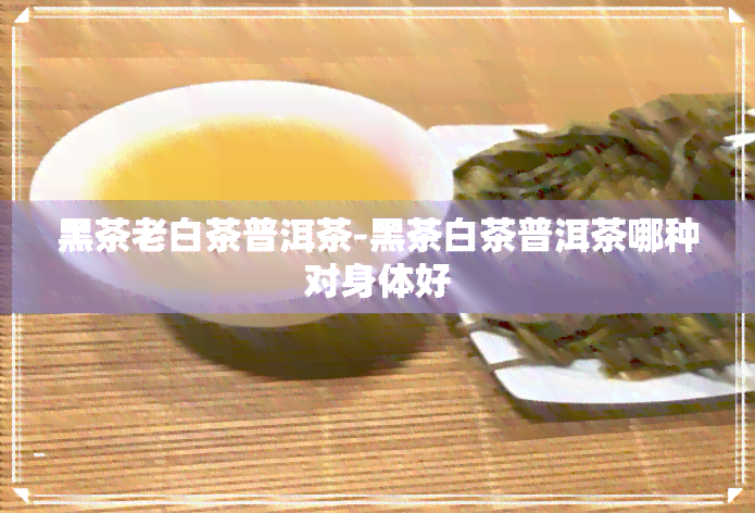 黑茶老白茶普洱茶-黑茶白茶普洱茶哪种对身体好