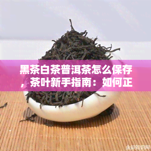 黑茶白茶普洱茶怎么保存，茶叶新手指南：如何正确保存黑茶、白茶和普洱茶？