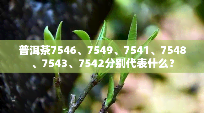 普洱茶7546、7549、7541、7548、7543、7542分别代表什么？