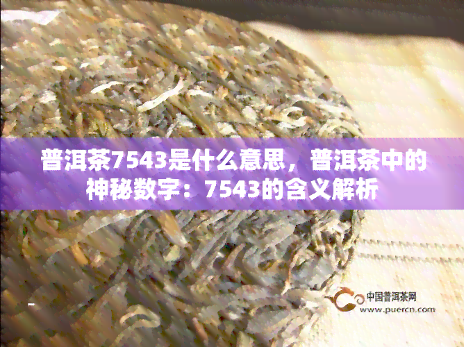 普洱茶7543是什么意思，普洱茶中的神秘数字：7543的含义解析