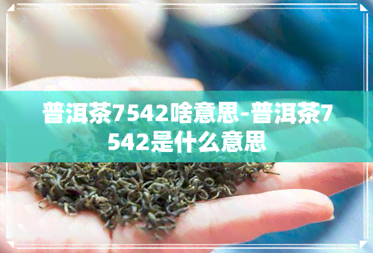 普洱茶7542啥意思-普洱茶7542是什么意思