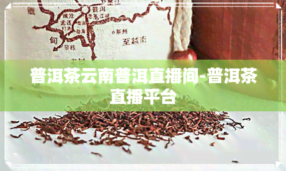 普洱茶云南普洱直播间-普洱茶直播平台