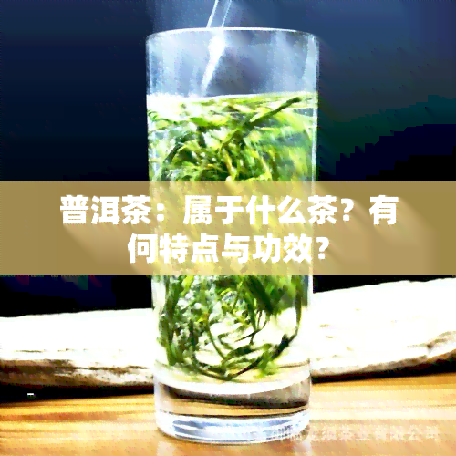 普洱茶：属于什么茶？有何特点与功效？