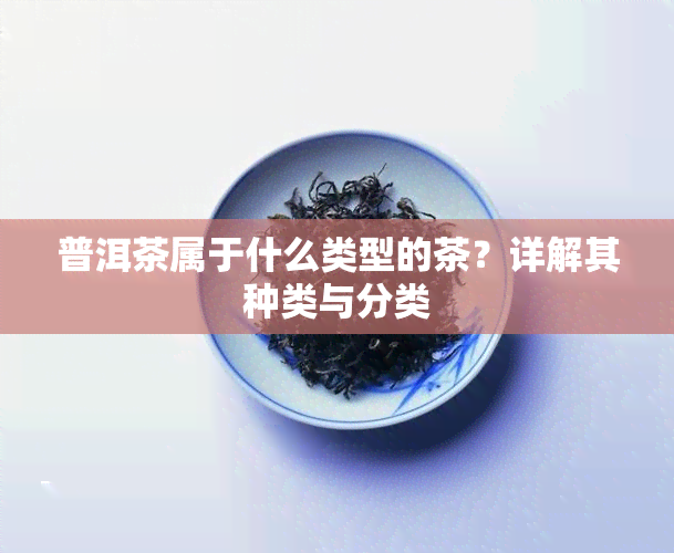 普洱茶属于什么类型的茶？详解其种类与分类