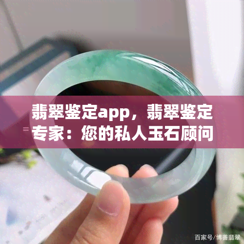 翡翠鉴定app，翡翠鉴定专家：您的私人玉石顾问应用