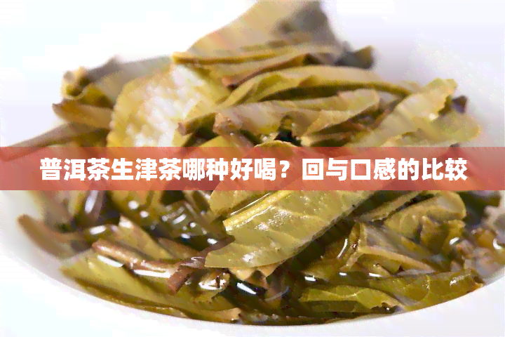 普洱茶生津茶哪种好喝？回与口感的比较