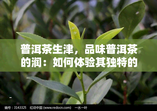 普洱茶生津，品味普洱茶的润：如何体验其独特的生津效果？