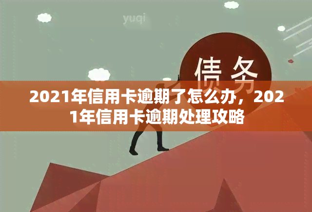 2021年信用卡逾期了怎么办，2021年信用卡逾期处理攻略