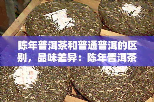 陈年普洱茶和普通普洱的区别，品味差异：陈年普洱茶与普通普洱的比较