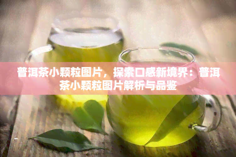 普洱茶小颗粒图片，探索口感新境界：普洱茶小颗粒图片解析与品鉴