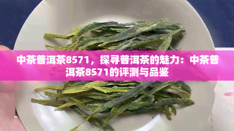 中茶普洱茶8571，探寻普洱茶的魅力：中茶普洱茶8571的评测与品鉴