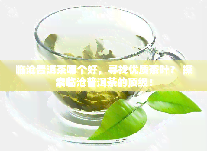 临沧普洱茶哪个好，寻找优质茶叶？ 探索临沧普洱茶的顶级！