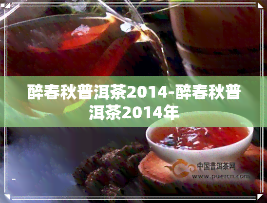 醉春秋普洱茶2014-醉春秋普洱茶2014年