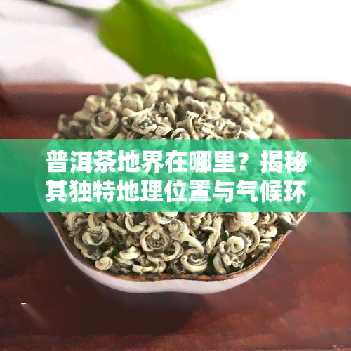 普洱茶地界在哪里？揭秘其独特地理位置与气候环境