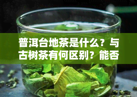 普洱台地茶是什么？与古树茶有何区别？能否饮用？看图对比。大规模种植时期及是否具备收藏价值全解析。